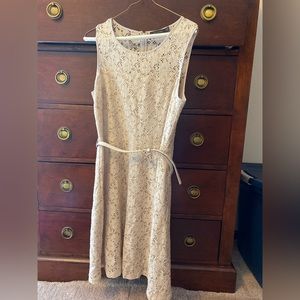 The Limited Lace Dress